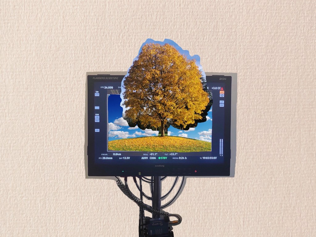 #21: Ponerme al día o cómo estuvo el viaje del mat al set, ida y&nbsp;vuelta.